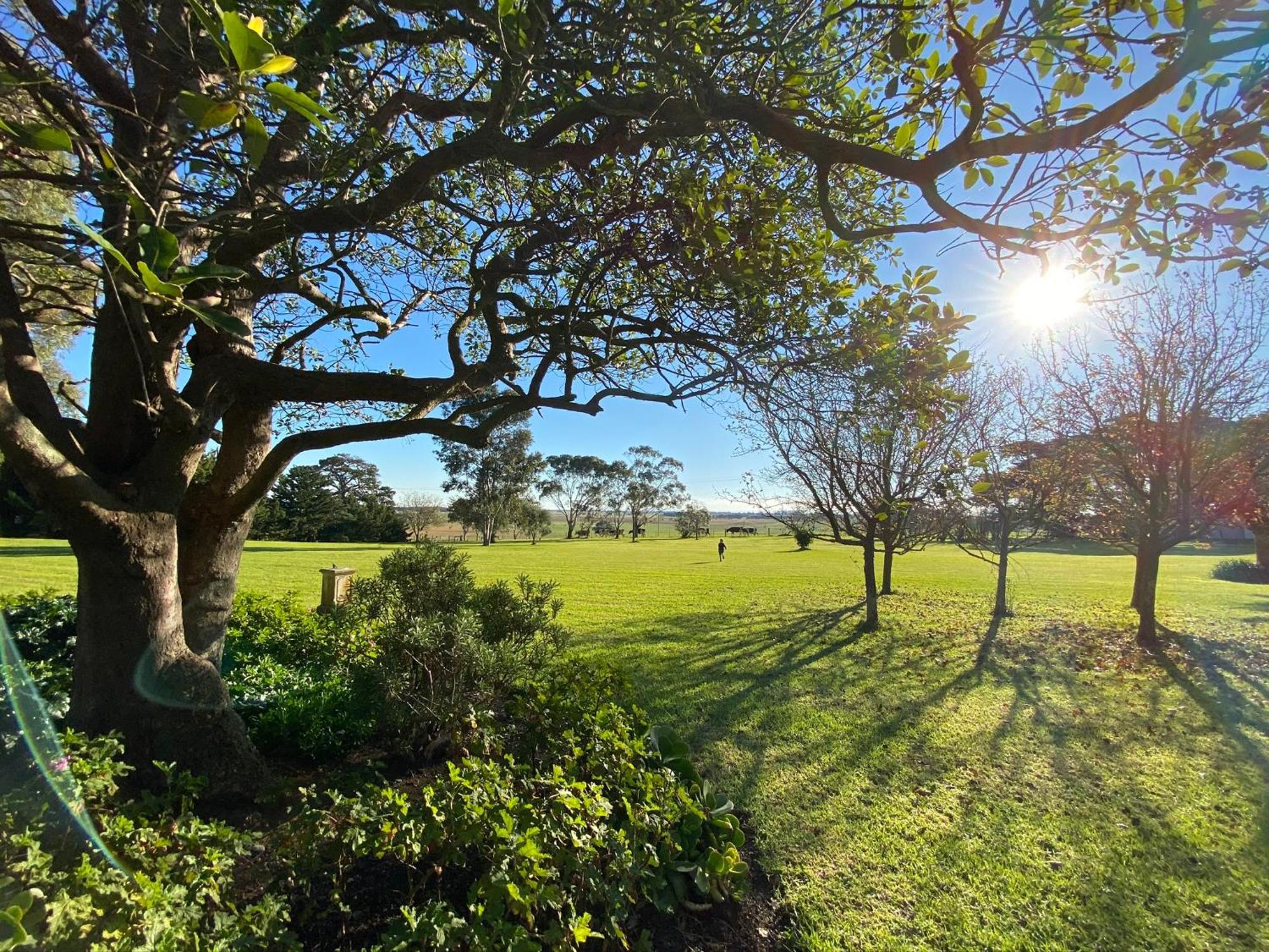 Bed and Breakfast Kilmany Park Estate Wurruk Exterior foto